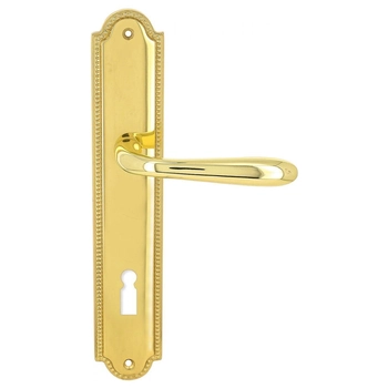 Дверная ручка Extreza 'ALDO' (Альдо) 331 на планке PL03 полированная латунь (key)