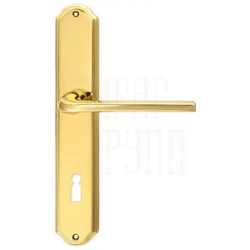 Дверная ручка Extreza 'TERNI' (Терни) 320 на планке PL01 полированная латунь (key)