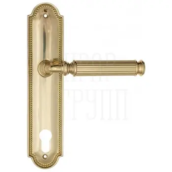 Дверная ручка Fratelli Cattini 'ENCIA' на планке PL248 полированная латунь (cyl)