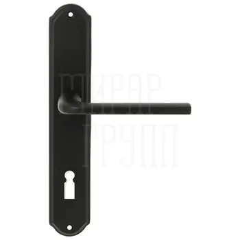 Дверная ручка Extreza 'TERNI' (Терни) 320 на планке PL01 черный (key)