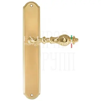 Дверная ручка Extreza 'EVITA' (Эвита) 301 на планке PL01 полированная латунь (key)