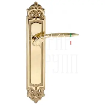 Дверная ручка Extreza 'CALIPSO' (Калипсо) 311 на планке PL02 полированная латунь (key)