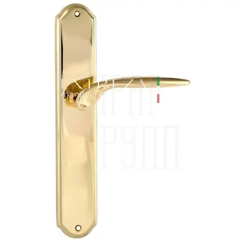 Дверная ручка Extreza 'CALIPSO' (Калипсо) 311 на планке PL01 полированная латунь (key)
